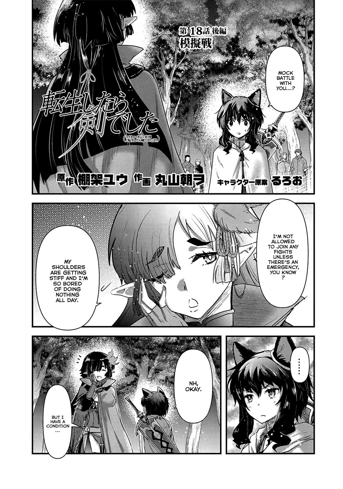 Tensei Shitara Ken Deshita Chapter 18 14